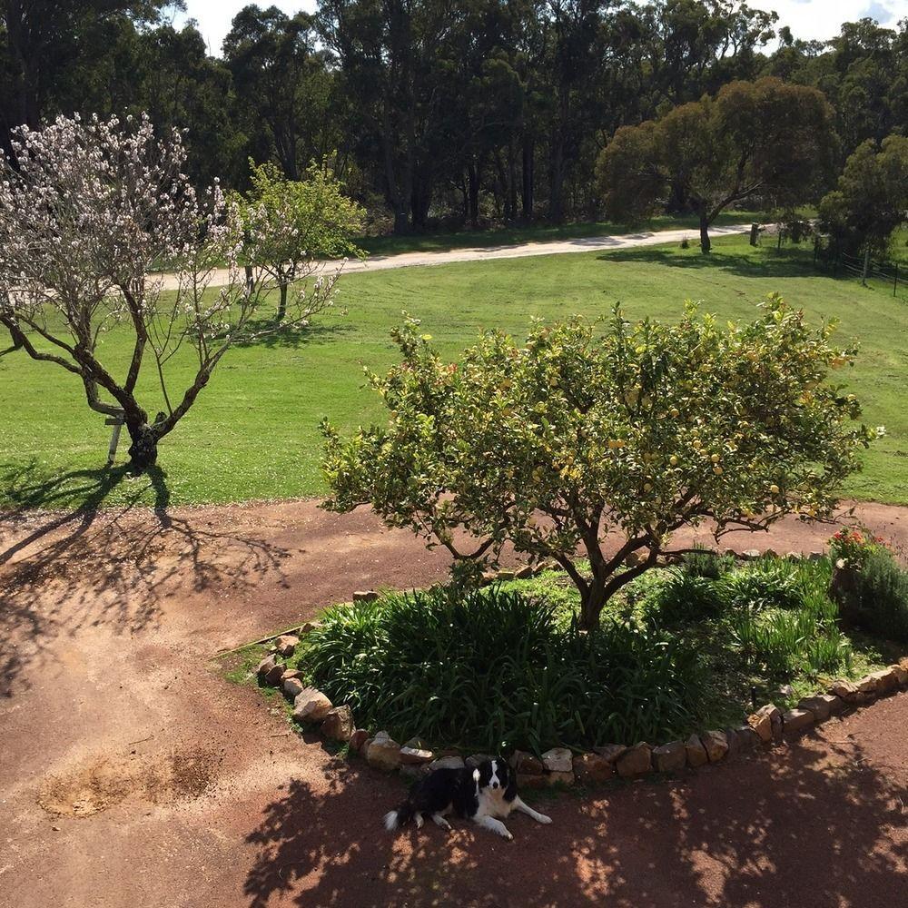 Erravilla Country Estate Spa Suite Accommodation Cowaramup Exterior foto